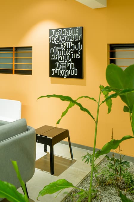 The Colour Burst House